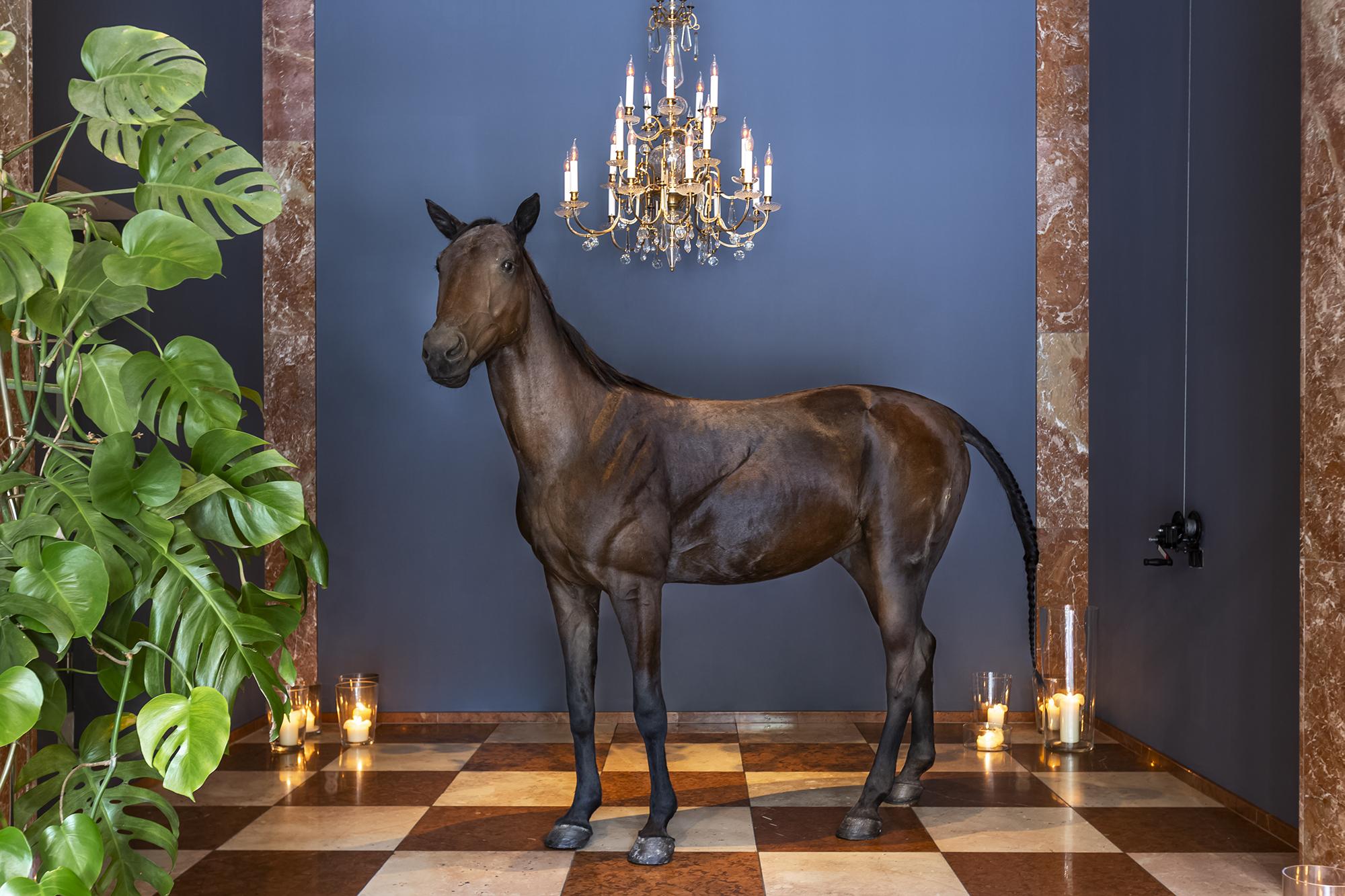 Grand Ferdinand – Am Ring Wien